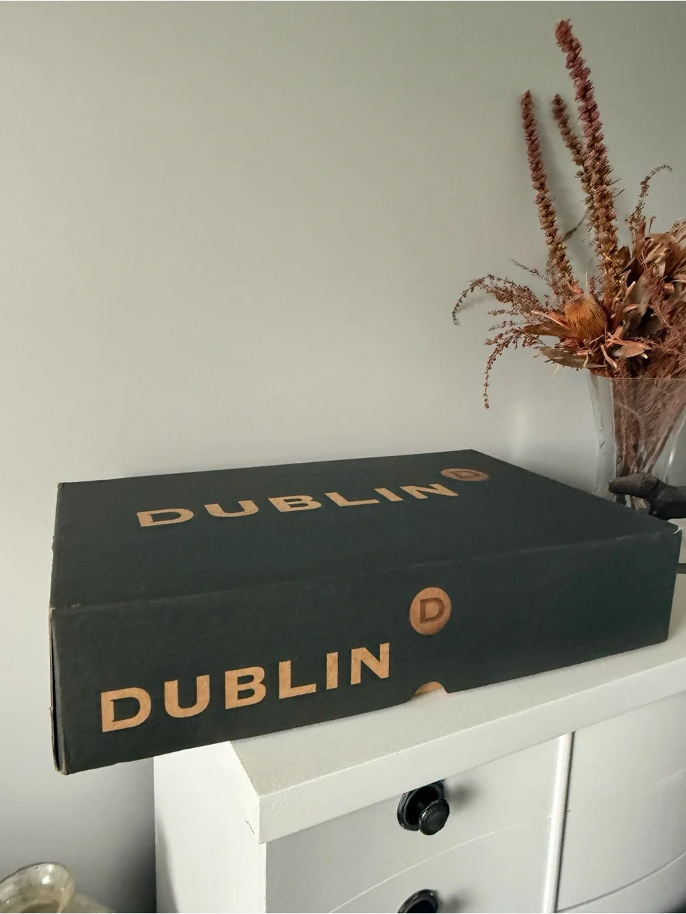 Dublin danaway boots, new 6.5